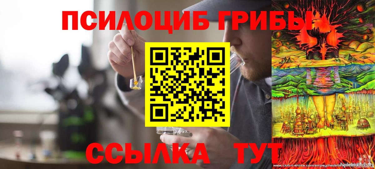 Псилоцибиновые грибы GOLDEN TEACHER  как найти закладки  Саянск  Вход с VPN 