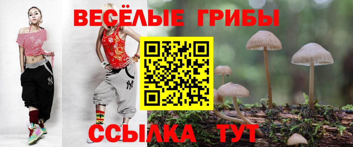 Галлюциногенные грибы Psilocybine cubensis Саянск